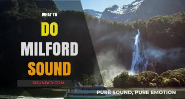 Explore Milford Sound: Top Activities, Scenic Cruises, and Hiking Trails