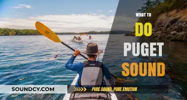 Explore Puget Sound: Top Activities, Adventures, and Hidden Gems
