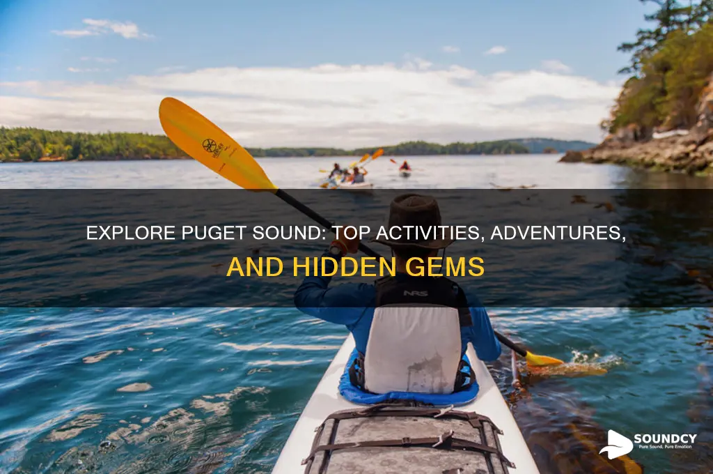 what to do puget sound
