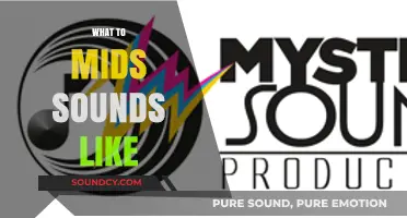 Unveiling the Mystical Sounds of Mids: A Sonic Exploration