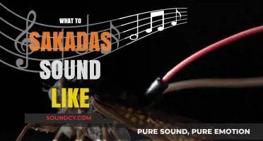 Unveiling the Unique Sounds of Sakadas: A Musical Exploration