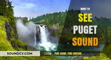 Exploring Puget Sound: Must-See Attractions and Hidden Gems to Discover