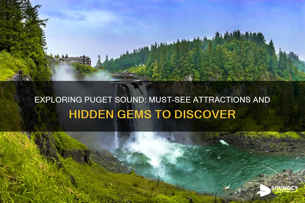what to see puget sound