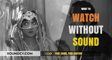 Silent Screen Magic: Top Picks for No-Sound Viewing Pleasure