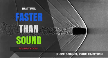 Breaking the Sound Barrier: Discover What Outpaces Sonic Speed