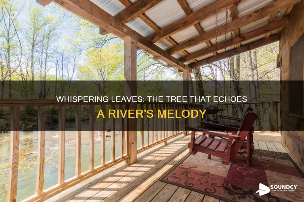 what tree sounds like river