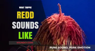 Trippie Redd's Unique Sound: A Blend of Emotion and Melody