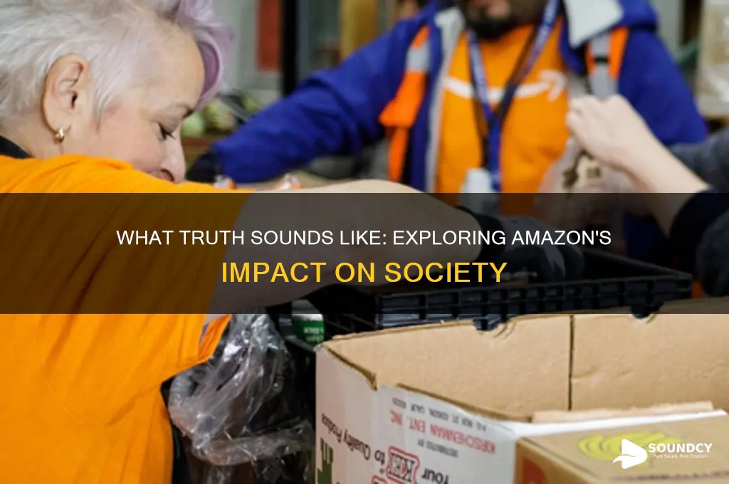 what truth sounds like amazon