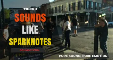 What Truth Sounds Like: Key Insights and Lessons Simplified