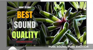 TVs With Best Sound Quality: Our Top Picks