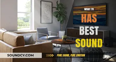 Discover the TV with the Best Sound Quality for Your Home