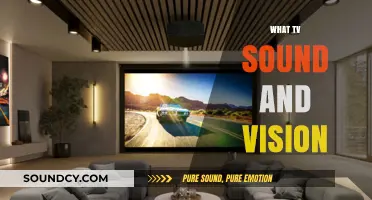Enhancing TV Experience: Mastering Sound and Vision for Immersive Viewing