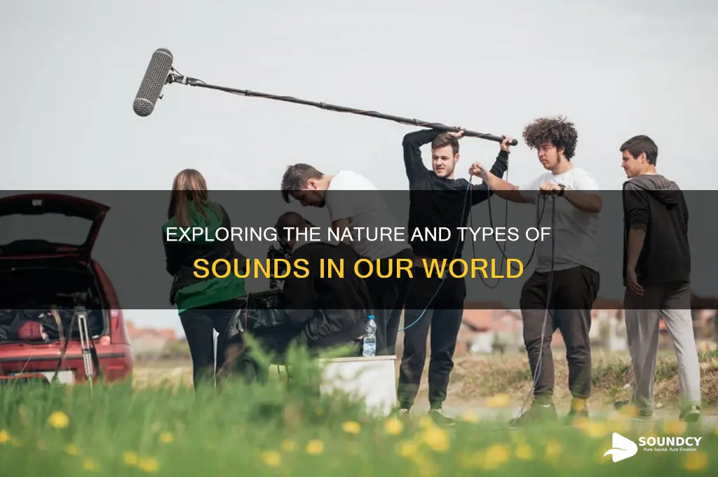 what type of sound is