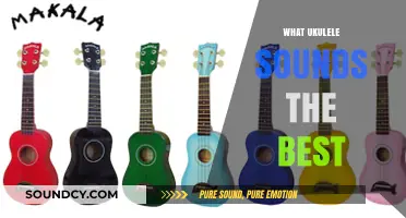Discover the Best Ukulele Sound: Top Picks for Rich, Vibrant Tones