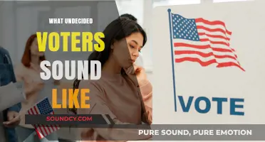 Voices of the Undecided: Decoding Their Concerns and Questions