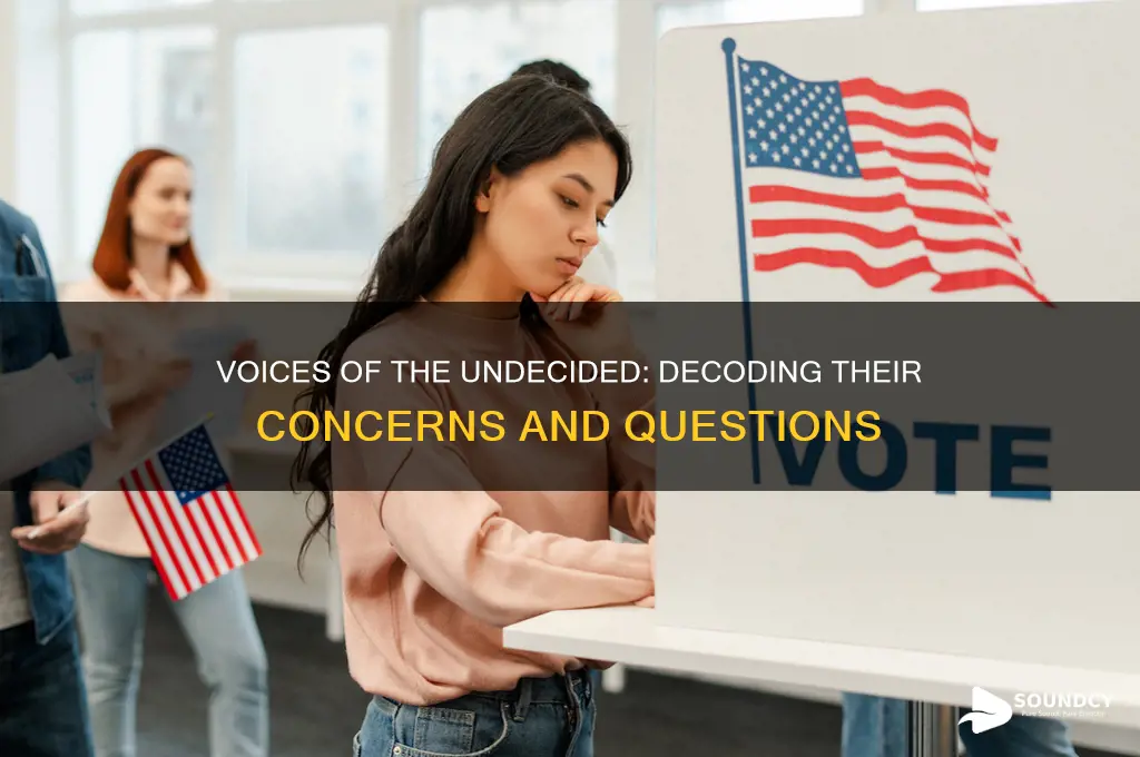 what undecided voters sound like