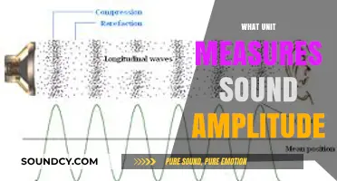 Understanding Sound Amplitude: The Role of Decibels in Measuring Loudness