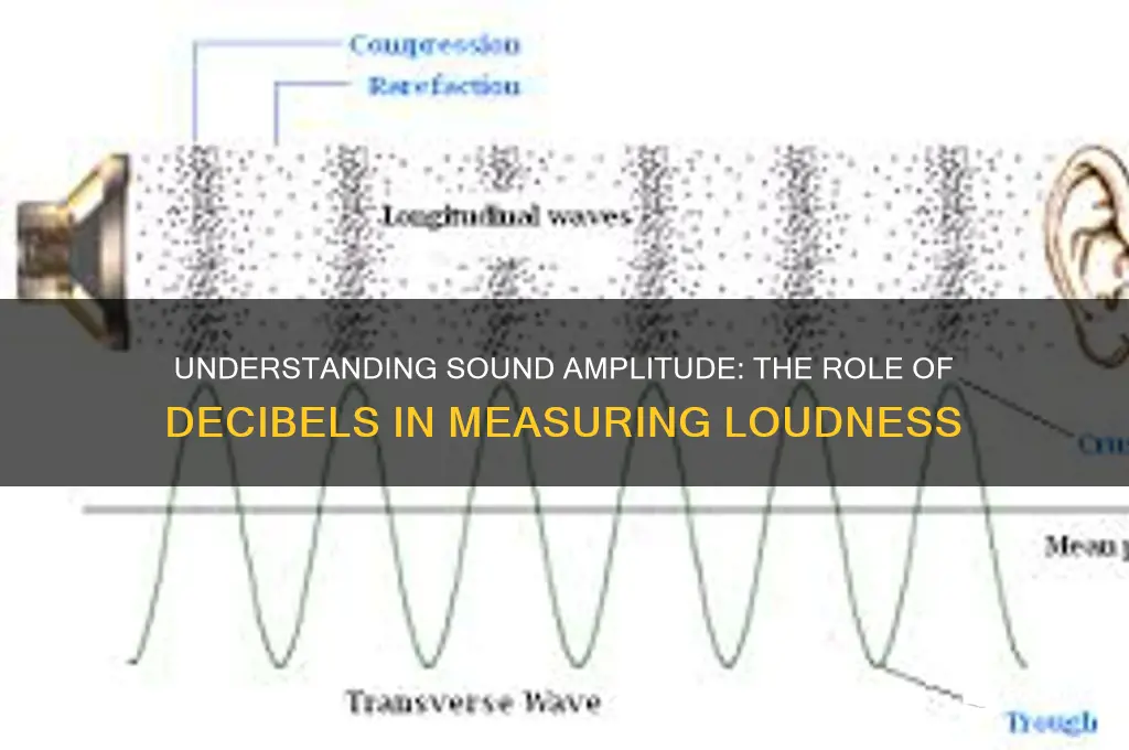 what unit measures sound amplitude