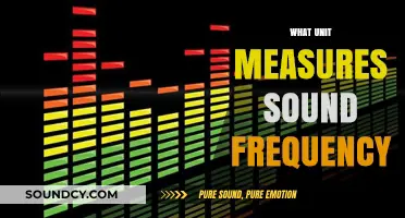 Understanding Sound Frequency: The Role of Hertz in Measuring Audio Waves