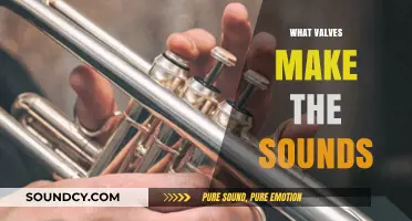 How Valves Create Unique Sounds in Musical Instruments Explained