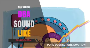 Decoding DBAs: Exploring the Unique Sounds of Database Administrators