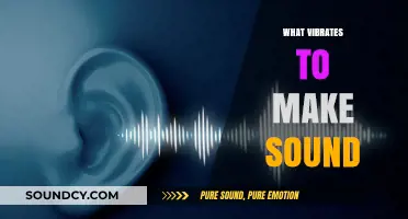 Unveiling the Science: How Vibrations Create the Sounds We Hear