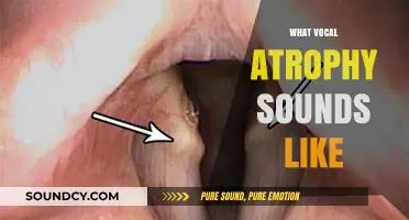 Unveiling Vocal Atrophy: Recognizing the Subtle Sounds of Voice Decline