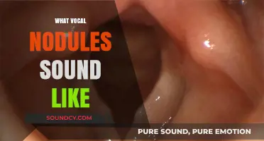 Vocal Nodules: Recognizing the Raspy, Hoarse Sounds They Produce