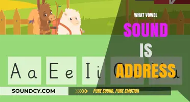 What Vowel Sound is Address? Unraveling the Pronunciation Mystery