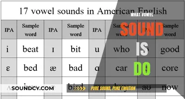 Unraveling the Vowel Sound in 'Do': A Phonetic Exploration