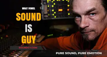 Decoding the Vowel Sound in 'Guy': A Phonetic Exploration