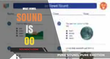 Unraveling the Mystery: What Vowel Sound Does 'OO' Represent in English?