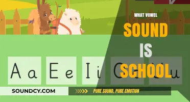 Unraveling the Vowel Sound in 'School': A Phonetic Exploration
