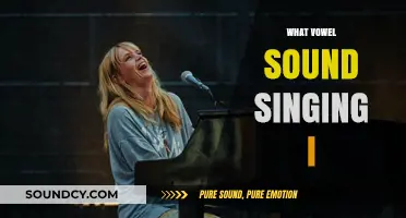 Mastering Vowel Sounds in Singing: Techniques for Clear and Powerful Vocals