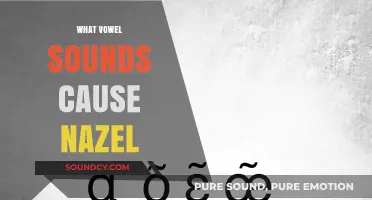 Vowel Sounds and Nasality: Which Vowels Trigger Nasal Resonance?