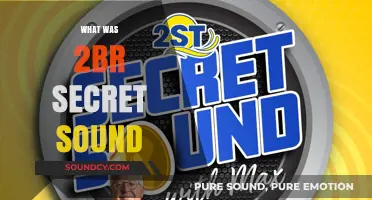 Unveiling the Mystery: The Secret Sound of 2BR Revealed