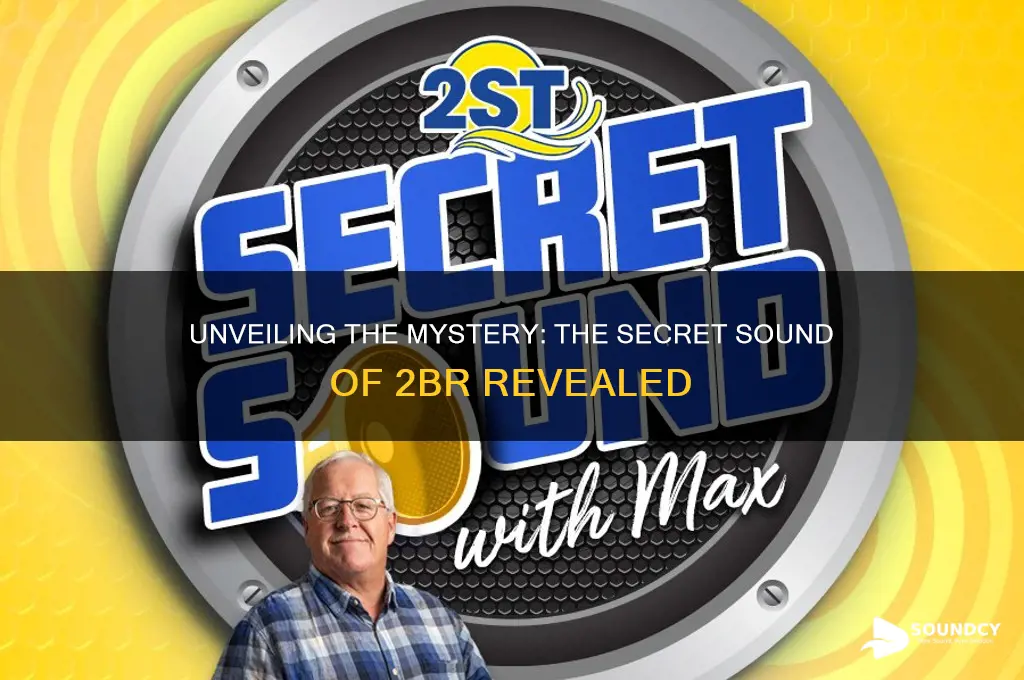 what was 2br secret sound