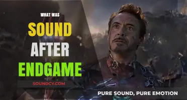 Exploring the Cinematic Soundscape: What Followed Marvel's Endgame