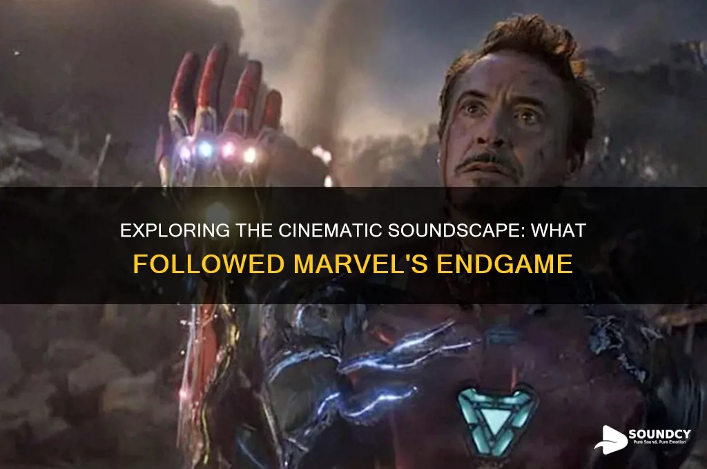 what was sound after endgame