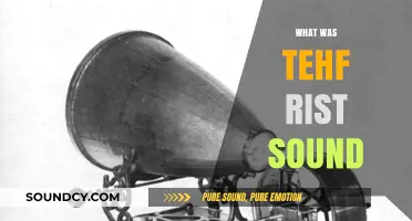 Unraveling the Mystery: What Was the First Sound in History?