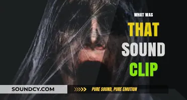 Unraveling the Mystery: What Was That Sound Clip?