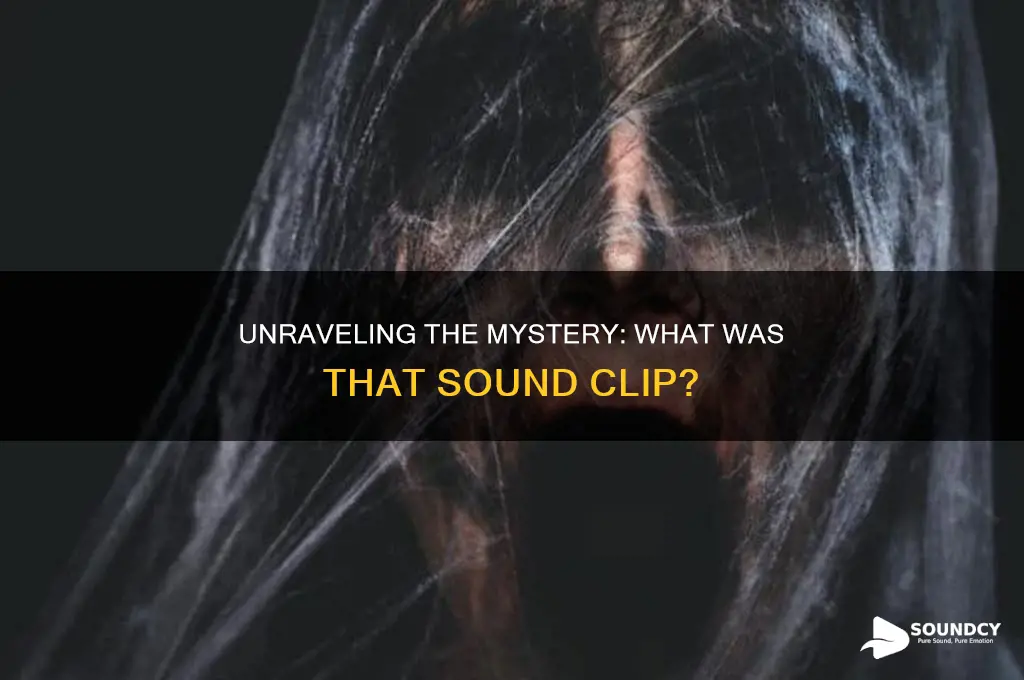 what was that sound clip