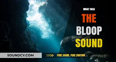 Unraveling the Mystery: What Was the Bloop Sound in the Ocean?
