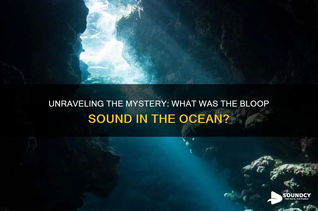 what was the bloop sound