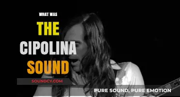 Unveiling the Iconic Cipollina Sound: A Musical Revolution Explored
