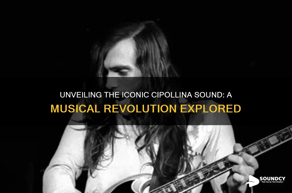 what was the cipolina sound