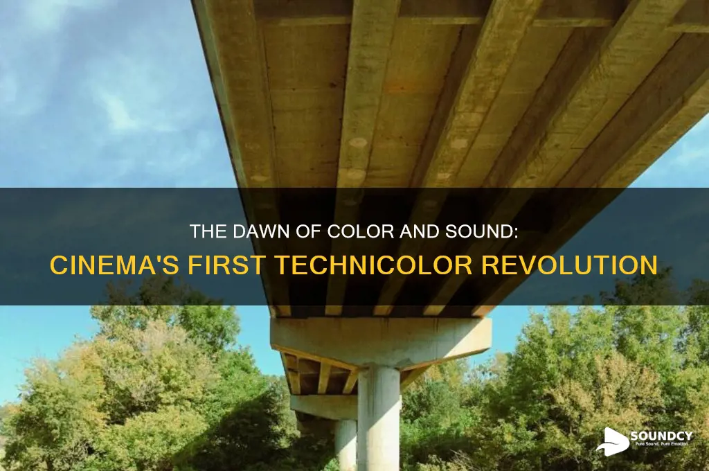 what was the first movie in color and sound