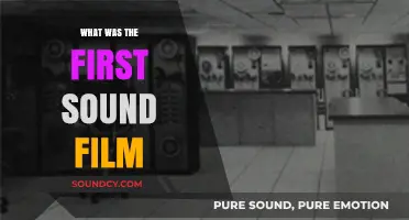 The First Sound Film: A Historical Perspective