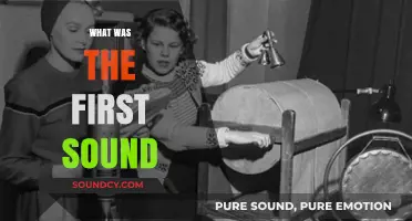 Unveiling the Mystery: Exploring the Origins of the First Sound