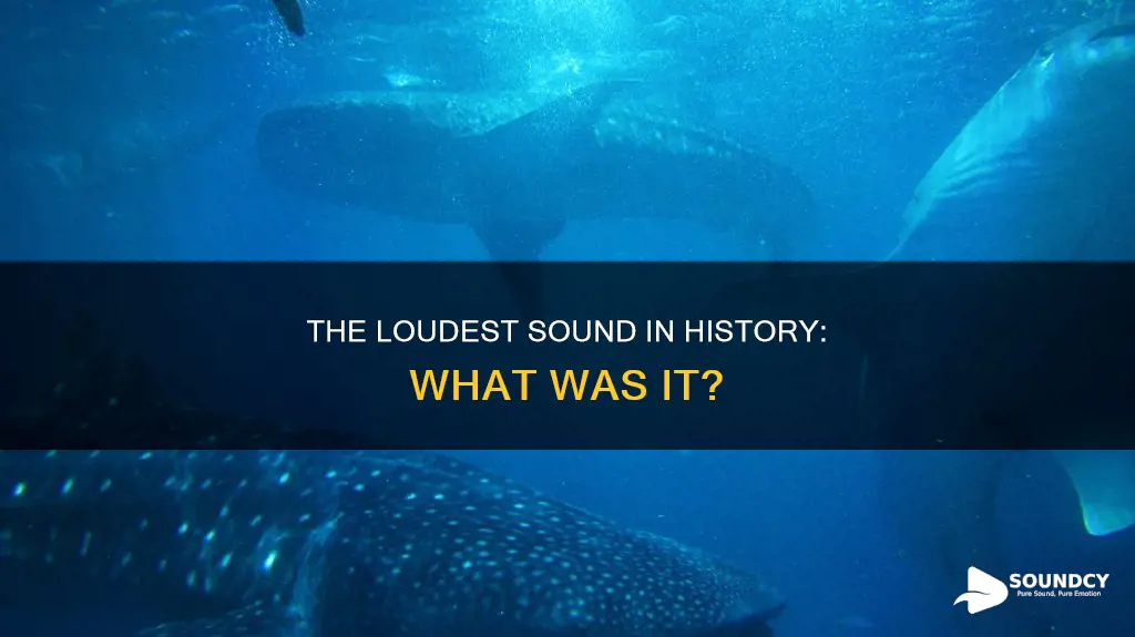 what was the loudest sound ever